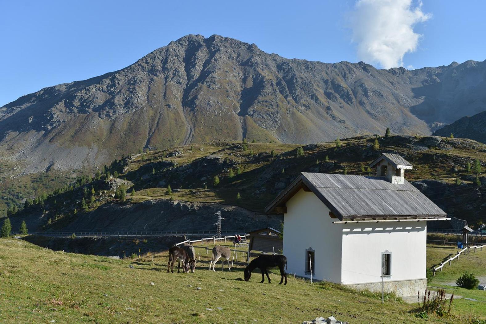Hotel Interalpen Isolaccia Buitenkant foto